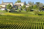 Photo for /images/category-images/Bordeaux_wine_country.jpg