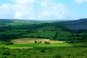 Photo for /images/category-images/irish-countryside.jpg